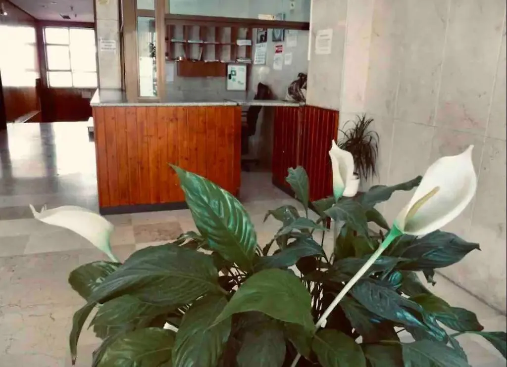 Apartamento La Posada Del Viajero Torremolinos España